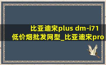 比亚迪宋plus dm-i71(低价烟批发网)型_比亚迪宋pro dm-i71(低价烟批发网)版